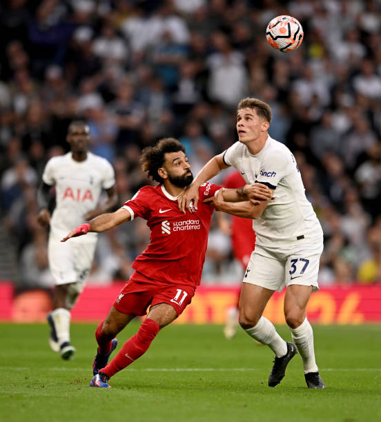 包括提高报 包括提高报