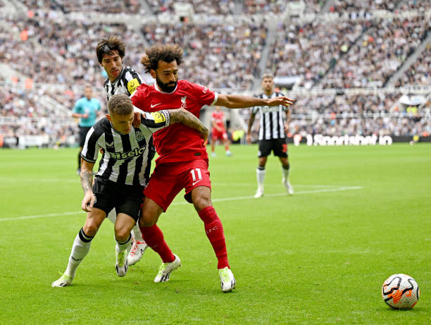 了有力的支 了有力的支